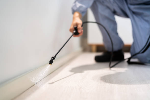 Professional exterminator conducting IPM assessment in Chaparral